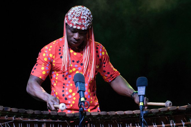 Zahodnoafriškemu glasbeniku Alyju Keiti (na fotografiji) se bo pridružil eden od ključnih protagonistov ameriške sodobne jazzovske scene, bobnar in tolkalist Hamid Drake.<br />
Foto Agostino Mela