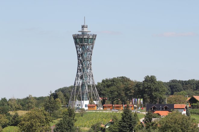 53,5 metra visok posebnež v Dolgovaških goricah FOTO: Jože Pojbič/Delo