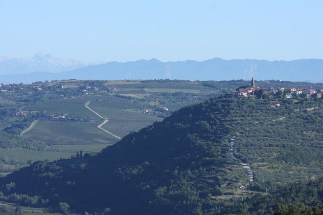 Padna je idealen kraj za vse pohodnike, kolesarje in ljubitelje neokrnjene narave. Ne veste, v katero smer bi se odpravili? FOTO: Boris Šuligoj