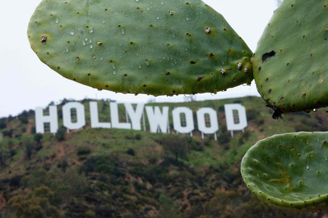 Hollywood je ob novi ameriški kulturni revoluciji videti zmeden. FOTO: Konrad Fiedler/AFP