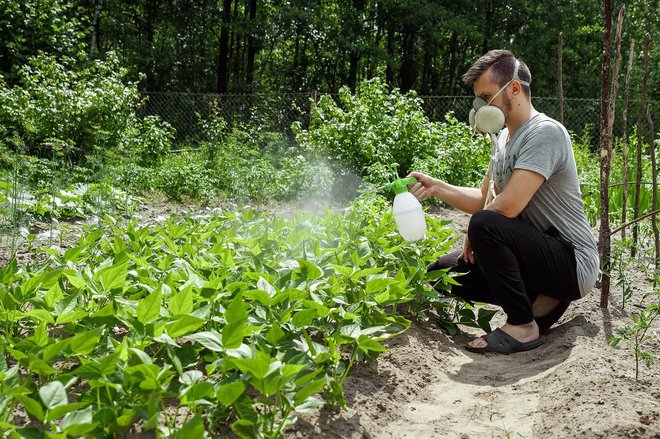 Eden od ciljev je, da bi se neprofesionalno lahko uporabljali le pesticidi, registrirani v ekološki pridelavi. FOTO: Shutterstock