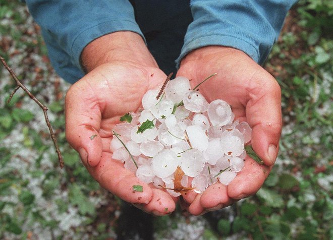 Tudi manjša zrna toče lahko naredijo veliko škode, na poljih in v sadovnjakih. FOTO:Igor Modic/Delo