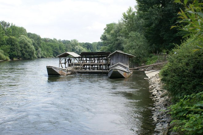 Zaradi hidroelektrarn v Avstriji nastaja škoda na toku Mure v Sloveniji. Njena največja težava je poglobitev struge. Foto Bakal Oste