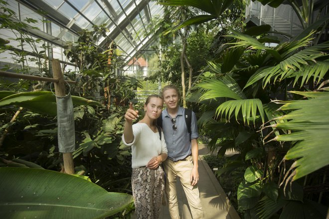 Obiskovalca med ogledom tropskega rastlinjaka. Zaradi strahu pred virusom je obiskovalcev še vedno manj kot pred epidemijo. FOTO: Jure Eržen/Delo