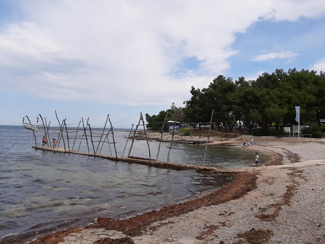 Za mnoge je Savudrija kraj otroških spominov iz kolonije in šole v naravi. Foto Osebni arhiv