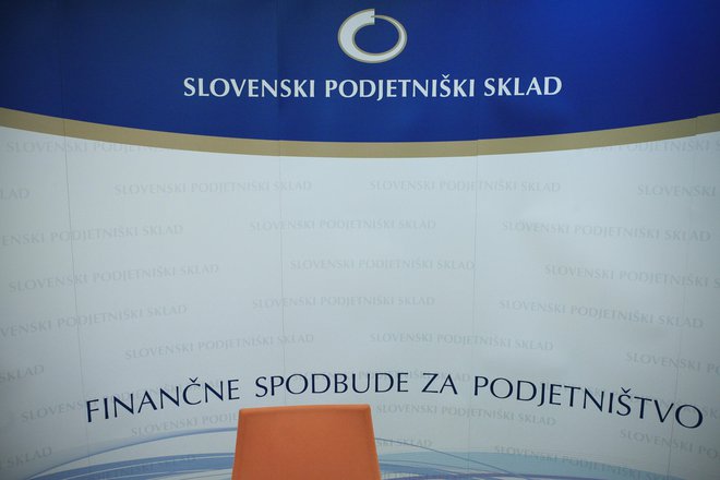 Sredstva Slovenskega podjetniškega sklada naj bi zadostovala za podporo več kot 150 projektov digitalne transformacije v MSP. FOTO: Uroš Hočevar/Delo