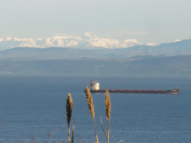 Tovorno ladjo, na njenem krovu je neznano število okuženih s covid-19, bodo ustavili na sidrišču in pred rezultati epidemioloških testov, ne bo smela vpluti v Luko Koper. FOTO: Boris Šuligoj