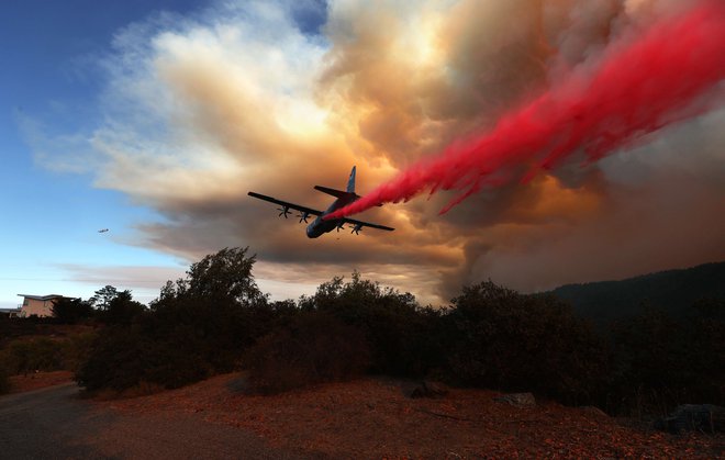 Požari, ki jih je največ na severu države, so doslej požgali več kot 1250 kvadratnih kilometrov zemljišč. FOTO: Justin Sullivan/Afp