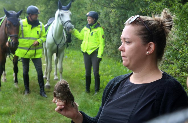 Našli so jo policisti na dvorišču Policijske postaje Cerknica. FOTO: Ljubo Vukelič