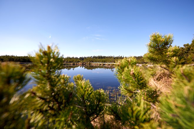 Lovrenška jezera na Rogli FOTO: Unitur