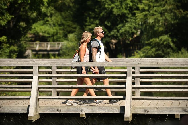 Upad tujih turistov so močno občutili v Postojni. FOTO: Jure Eržen/Delo