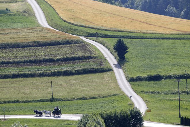 Na pot proti nacionalizmom.&nbsp;Foto Mavric Pivk/Delo