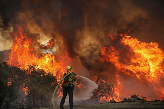 Gašenje požara v bližini Jamula v Kaliforniji, imenovanega Valley fire. FOTO: Sandy Huffaker/AFP