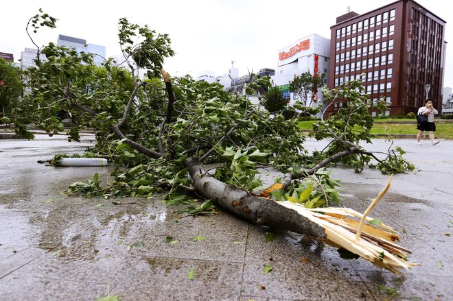 Na Japonskem je tajfun lomil drevesa in sprožal zemeljske plazove, tako kot na posnetku iz mesta Fukuoka. FOTO: Kyodo Kyodo/Reuters