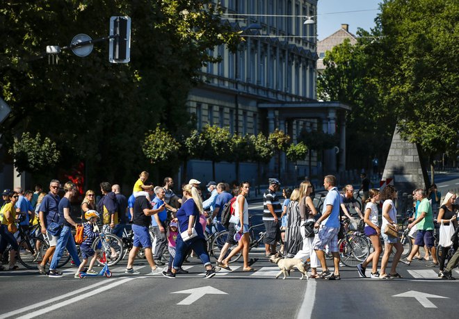 Članice postavljajo različne zahteve, ki jih morajo izpolnjevati državljani EU za pridobitev dovoljenj. FOTO: Matej Družnik/Delo