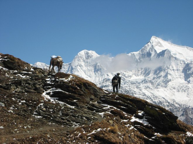 Proti sedlu Palgune; zadaj Pyuta hiu Čuli (7246 metrov). FOTO: Viki Grošelj