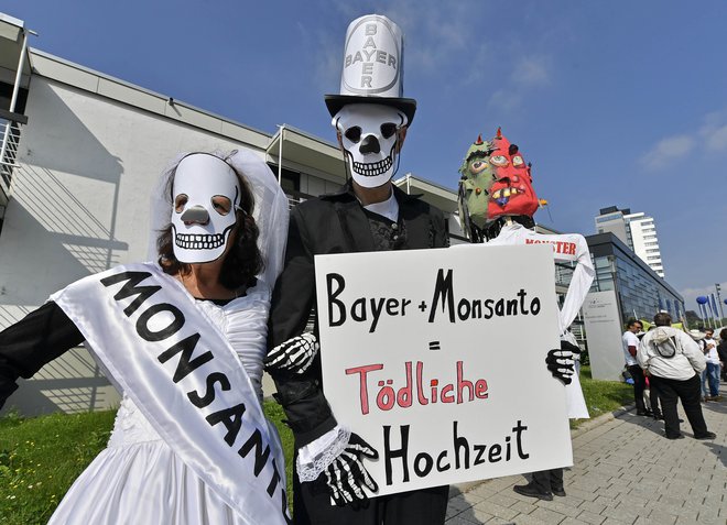 Kritiki se bojijo uporabe Monsantovih domnevno spornih semen. Foto AP