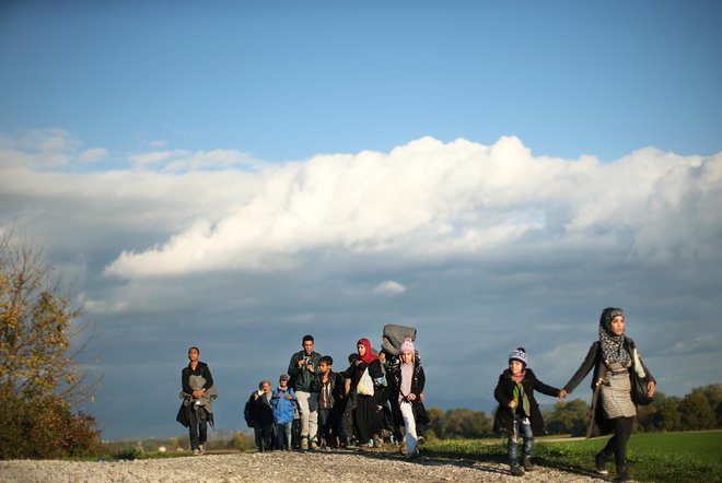 Skupina beguncev med večurno hojo proti Brežicam. FOTO: Jure Eržen