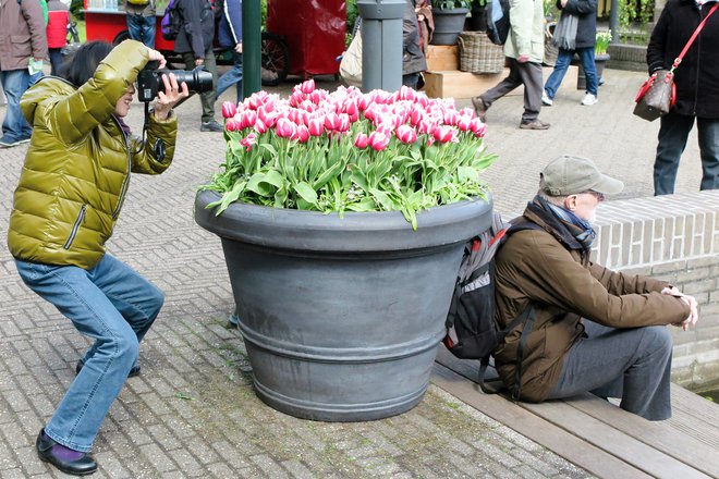 Nizozemska, dežela tulipanov, najbolje skrbi za upokojence. Foto Marko Feist