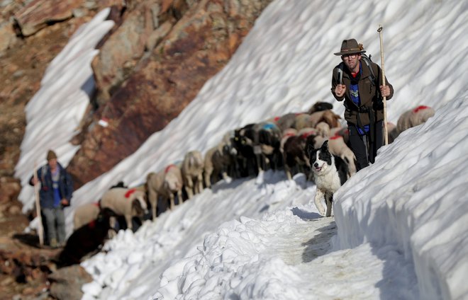 Foto Lisi Niesner Reuters