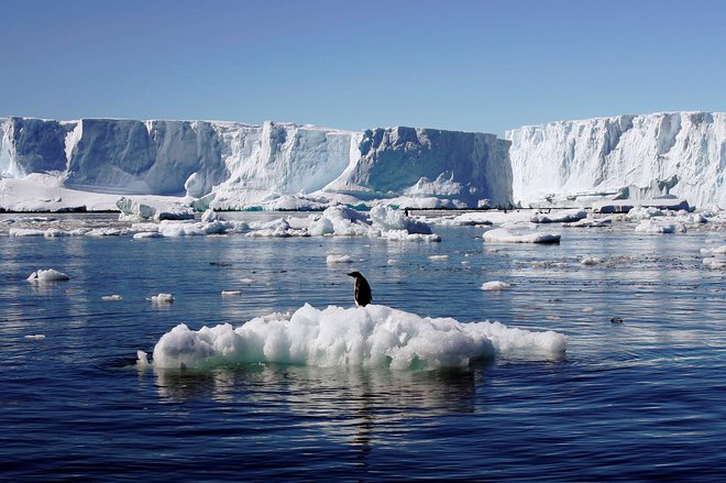 Po sedanjih trendih bi Antarktika ob Grenlandiji lahko postala nov največji vir vode, ki bi dvigoval gladino oceanov. FOTO: Reuters