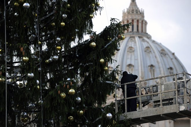 A worker decorates the Christmas tree of St Peter's square on December 12, 2011 at The Vatican. The tree is a 60-year-old and 30-meter-high spruce coming from a forest of the Transcarpathia region of Ukraine. AFP PHOTO / GABRIEL BOUYS
