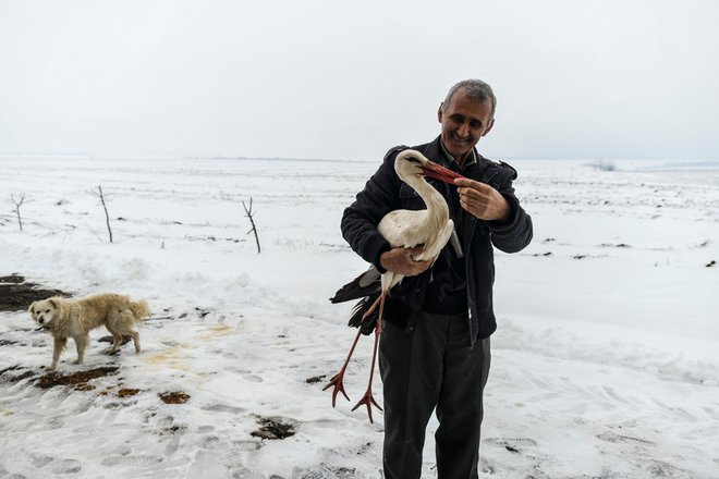 Bolgar Idzhabi Sali je priskočil na pomoč premraženim štorkljam