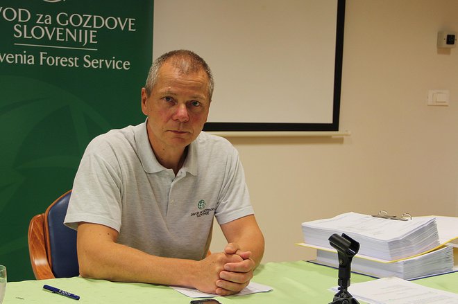 &quot;Očitke zavračam,&quot; pravi Damjan Oražem, direktor Zavoda za gozdove Slovenije. Foto Simona Fajfar