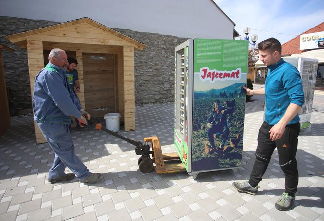 Iz Francijevih jajcematov jajca poidejo v enem dnevu. FOTO: Tadej Regent/Delo