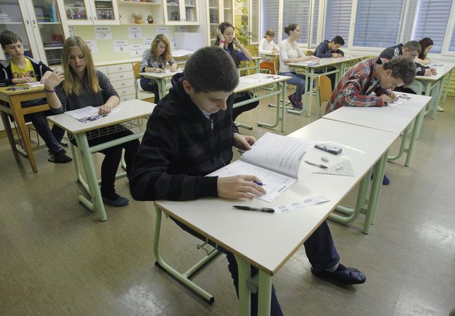 Nacionalni preizkus znanja v matematiki na osnovni šoli Danile Kumar v Ljubljani leta 2013. FOTO: Leon Vidic/delo/
