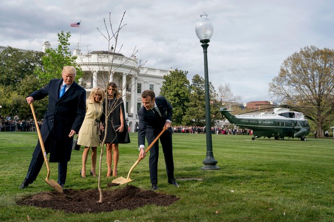 ​Državnika sta drevo zasadila v družbi svojih soprog. FOTO: AP