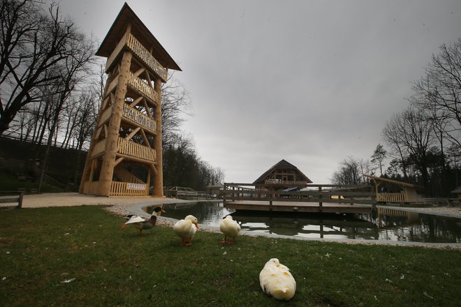 Lesenenemu stolpu investitor pravi lovska opazovalnica, a za inšpektorje je razgledni stolp, ki bi potreboval gradbeno dovoljenje, vendar ga nima. FOTO: Jože Suhadolnik/Delo