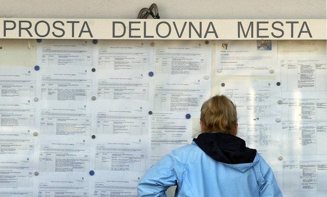 Brezposelnost se je zmanjšala po vsej Sloveniji. FOTO: Aleš Černivec