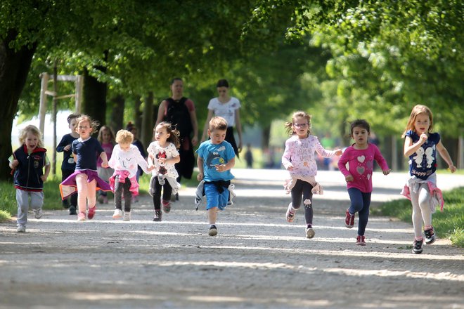 Večina analiz izhaja iz t.i. športno-vzgojnih kartonov, ki jih slovenske šole uporabljajo že 30 let. FOTO: Tomi Lombar/Delo