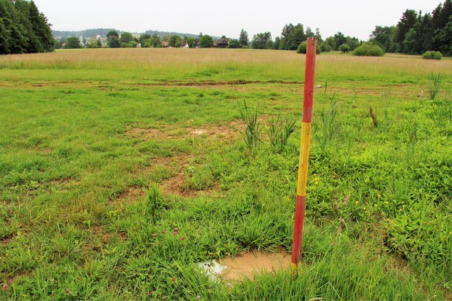 Travnik ob Centru varne vožnje AMZS Vransko,  kjer slovensko podjetje LIS z Nizozemci načrtuje postavitev velikih rastlinjakov.<br />
FOTO: Brane Piano/Delo