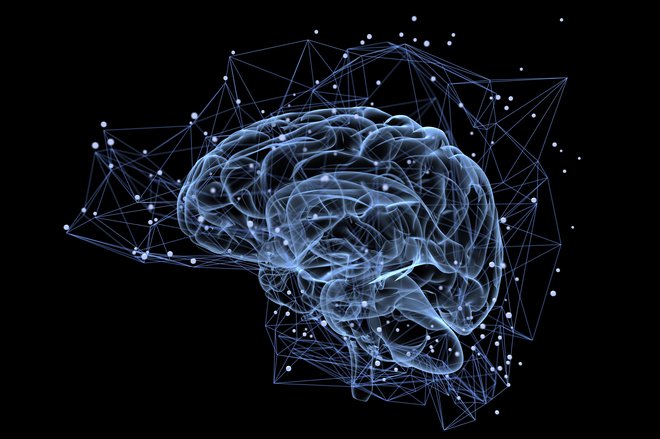 Pri novi metodi se nevroni povezujejo z uporabo geometrijskih vzorcev. Tako ustvarjena preprosta možganska snov prvič ni naključna. FOTO: Getty Images/Istockphoto