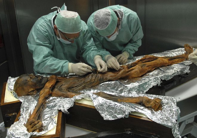 Čeprav so ledeno mumijo našli že leta 1991, imajo znanstveniki z Ötzijem še vedno veliko dela. FOTO: AP