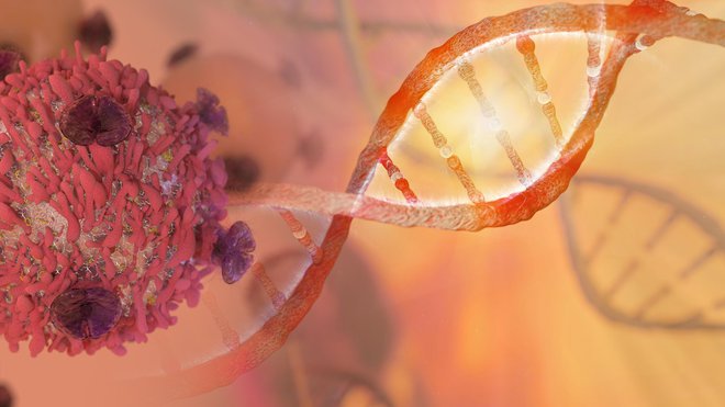 Ste za spreminjanje DNK pri zarodkih ali proti? FOTO:&nbsp;Getty Images/Istockphoto