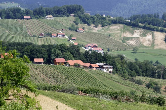 Udeleženci počitnic v Domu Sv. Jožefa se odpravijo tudi na izlete, na primer na Kozjansko. Foto Ljubo Vukelič