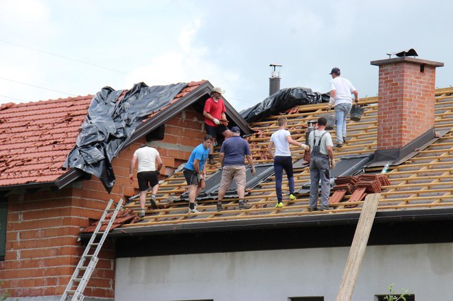 Fotografija je simbolična. FOTO: Tanja Jakše Gazvoda