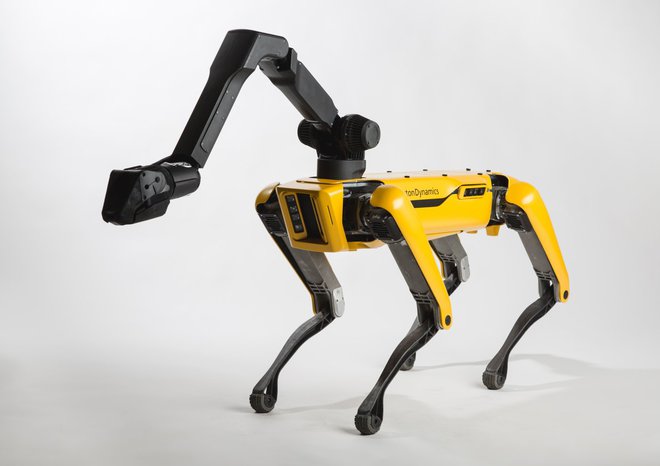 SpotMini z držalom za pločevinke. No, ne samo za pločevinke. FOTO: Boston Dynamics