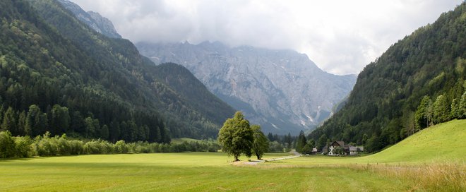 Logarska dolina FOTO: Marko Feist