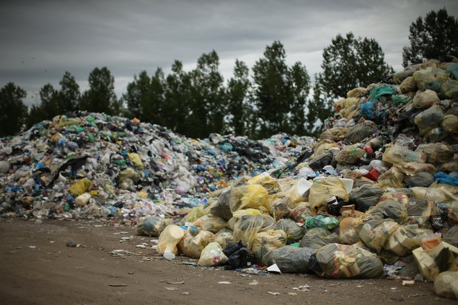 Med odpadki je končalo 35 odstotkov užitnega dela hrane. FOTO: Jure Eržen