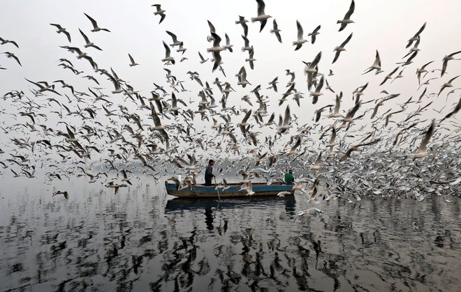 Reka Jamuna v New Delhiju v mrakobnem jutru, ko je dovoljena koncentracija smoga desetkrat presežena.<br />
Foto Reuters