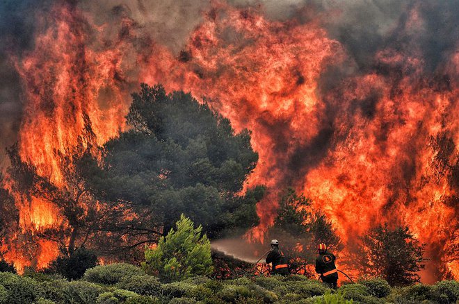 Simbolična fotografija. FOTO: AFP