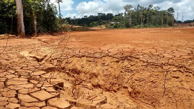 Opustošenje v Surinamu zaradi izkopavanja rud, zlasti zlata in živega srebra. FOTO Arhiv Wwf