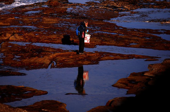 Coles bo plastične vrečke za večkratno uporabo (na fotografiji) podarjal strankam do konca avgusta. FOTO: David Gray/Reuters