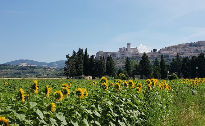 Assisi je pomembno romarsko središče. FOTO: Jure Predanič