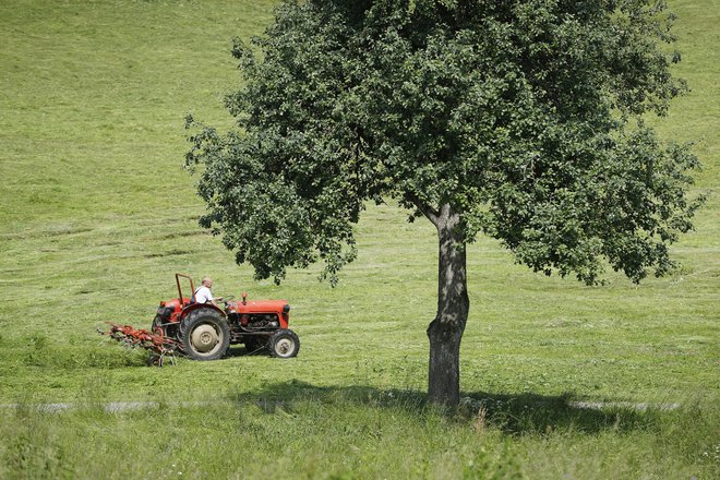 Fotografija je simbolična. FOTO: Leon Vidic