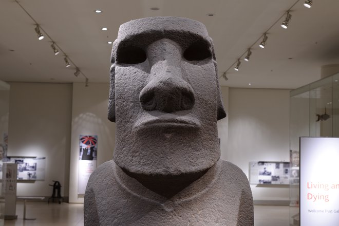 Kip <em>Hoa Hakananai&#39;a</em> v Britanskem muzeju velja za enega izmed največkrat fotografiranih eksponatov. FOTO: Wikipedija